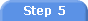Step 5
